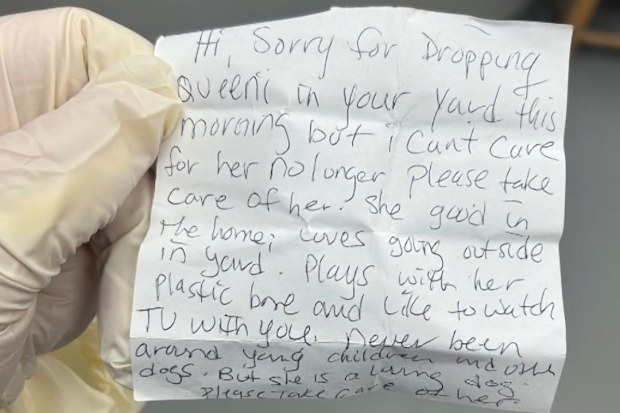 Dog shelter Queeni the dog abandoned with handwritten note 2026