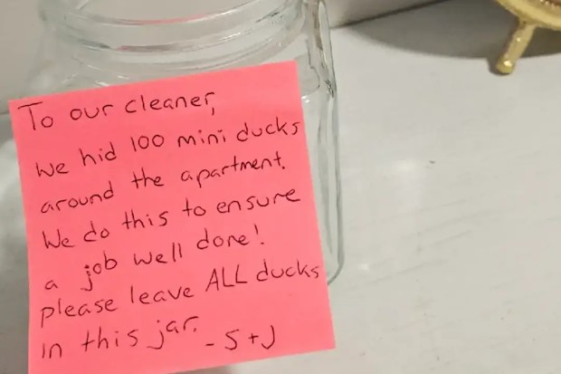 Professional cleaner Devon shares humiliating duck "task" she was left on TikTok