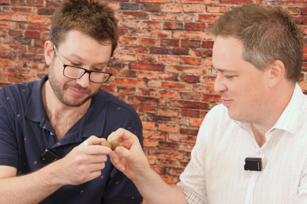 9honey Kitchen Easter egg taste test