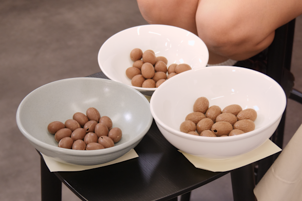 9honey Kitchen Easter egg taste test