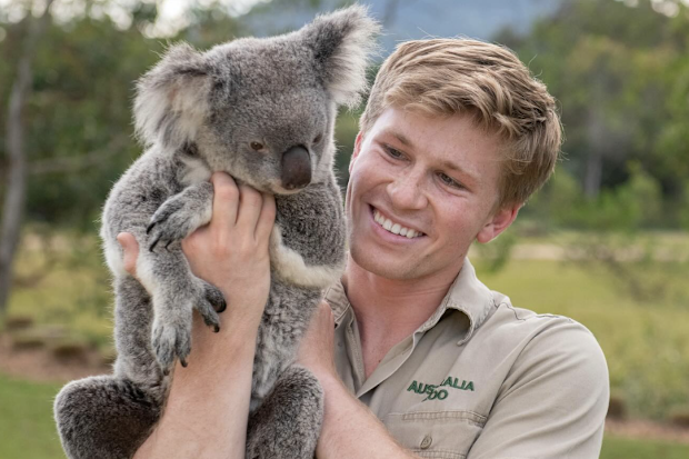 Robert Irwin koala pic