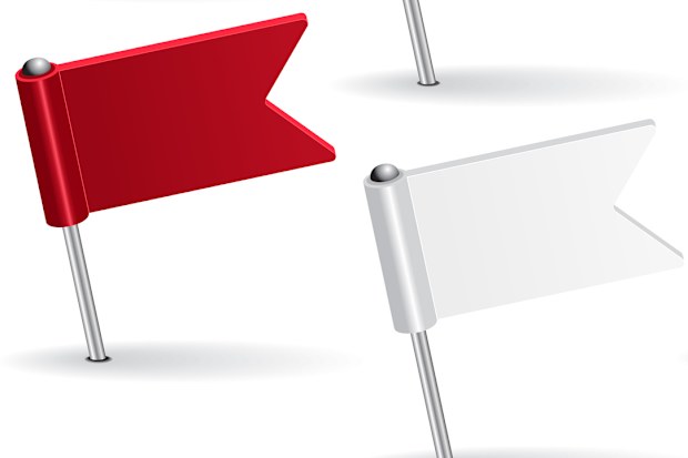 Pin flags
