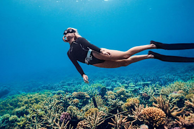 11. Great Barrier Reef Tours