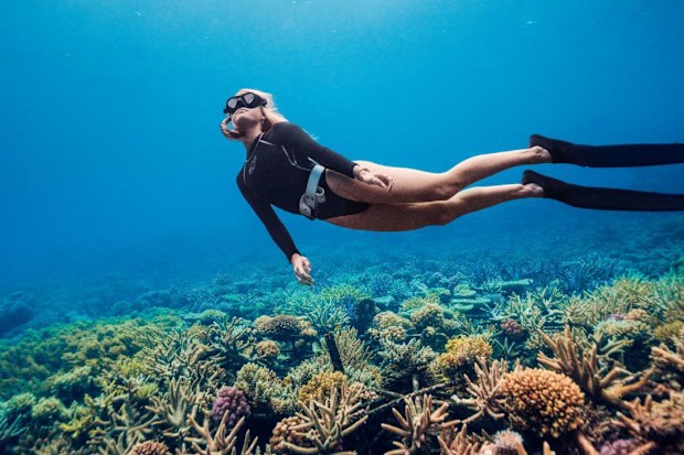 great barrier reef