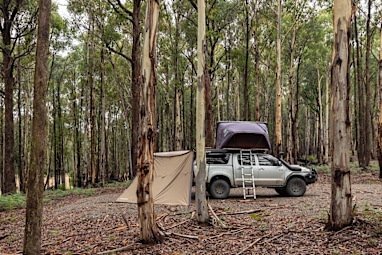 Bendoc Camping Ground