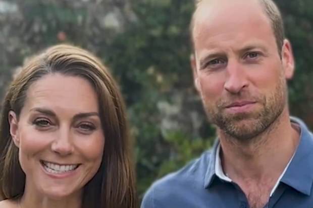 prince william beard
