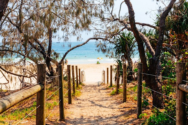 Mooloolaba Beach, Sunshine Coast, Queensland. One point perspective looking down a sandy beach walkway surrounded by native trees with view to sand, ocean and red and white beach umbrella in the distance.