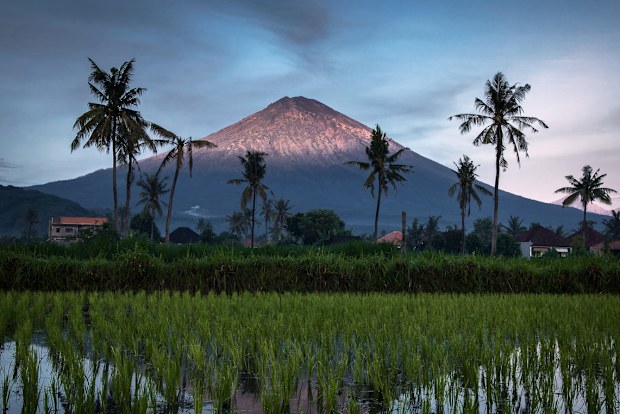 Rural landscape and tropical environment overlooking magnificent sunrise and mount Agung volcano peak on Bali island, Karangasem district