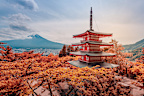 Fujiyoshida, Japan - June 08, 2018: The Chureito Pagoda, a five-storied pagoda also known as the Fujiyoshida Cenotaph Monument, on the top of viewpoint can see mt. Fuji on the background.
