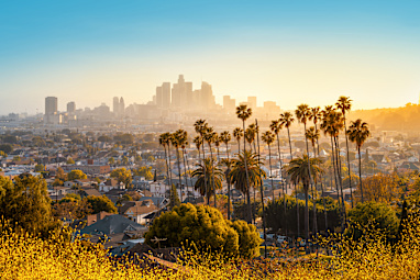 4. Los Angeles, USA