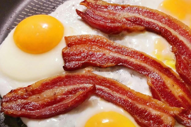 Bunch of gourmet meaty pork belly bacon rashers, fried in a heavy duty non-stick frying pan, detail, high angle view, high resolution stock image.