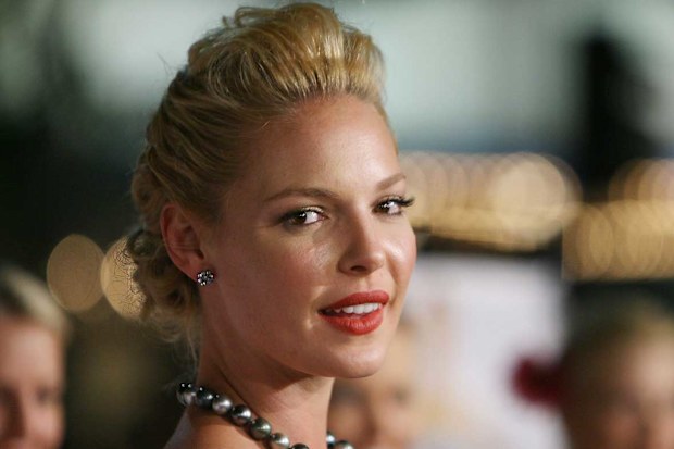 Katherine Heigl on the red carpet for 27 Dresses.