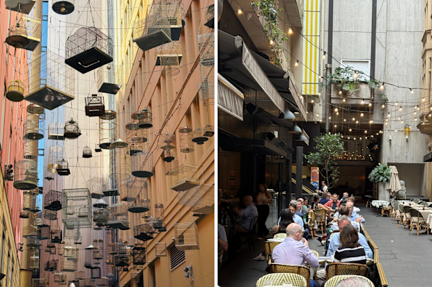 ai tour of sydney john walsh