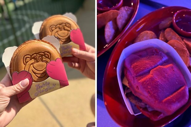 Images from Sean Thompson's famil to Hong Kong Disneyland for 9Travel. We loved the Lotso sandwiches but were disappointed by the Iron Man burger.