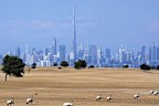 Dubai UAE