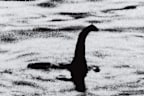 Amidst a surge of interest in the cryptozoological myth the Loch Ness Monster, the Daily Mail publishes the most famous image of the creature on April 21, 1934.