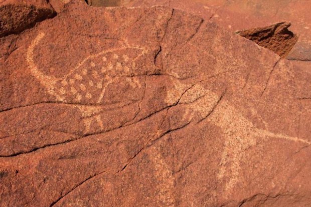There are more than a million examples of this rock art in Murujuga.
