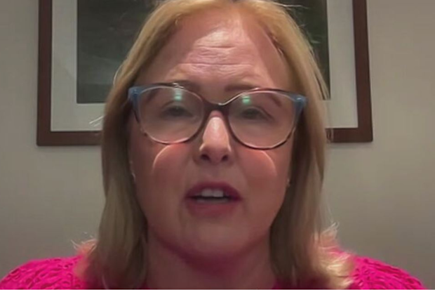 Susan Mclean cyber safety