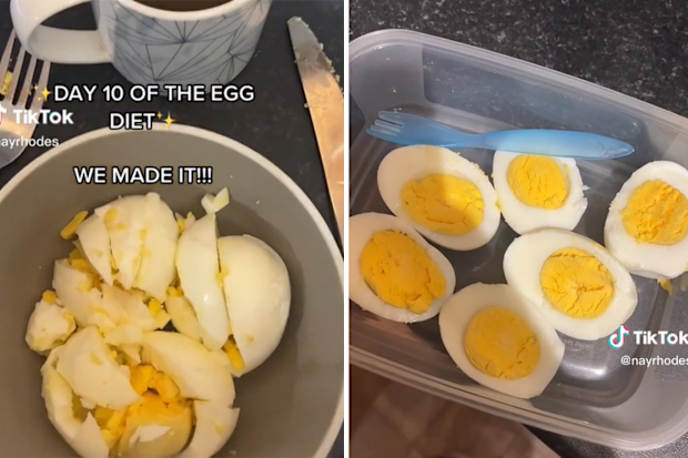 the egg diet going viral on tiktok