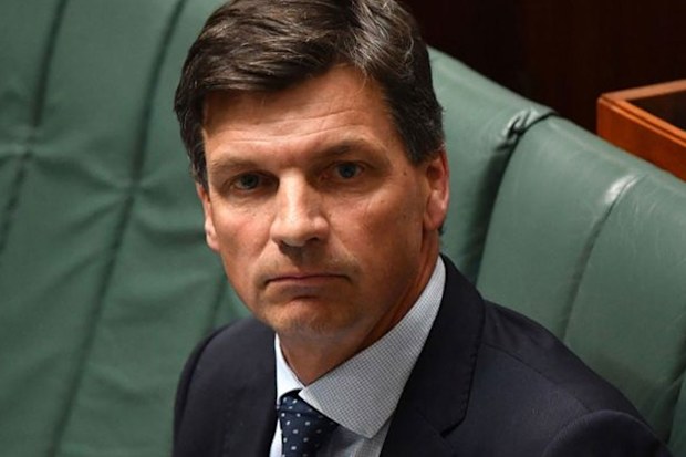 2807_nh_angustaylor