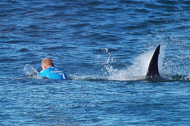 Mick Fanning of Australia is attacked by a Shark at the Jbay Open on July 19, 2015