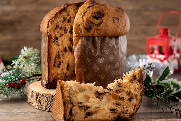 Panettone is a traditional Italian Christmas cake 