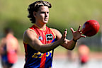 Brisbane Lions young gun Will Ashcroft