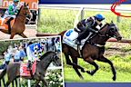Melbourne Cup contenders.
