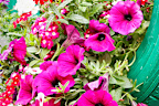 Tyre flower planter