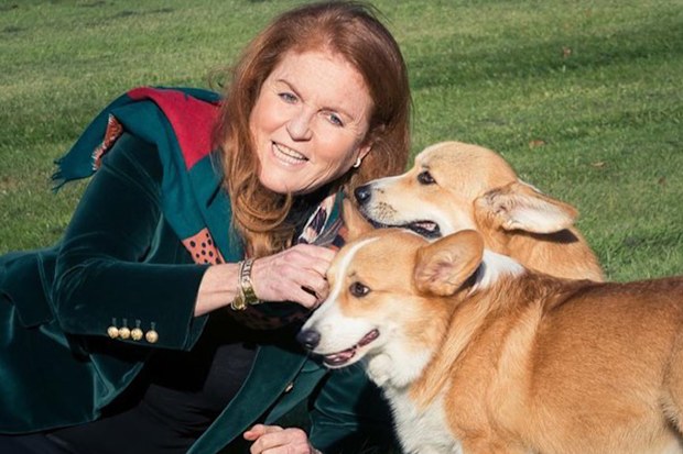 Fergie with the late Queen's corgis.