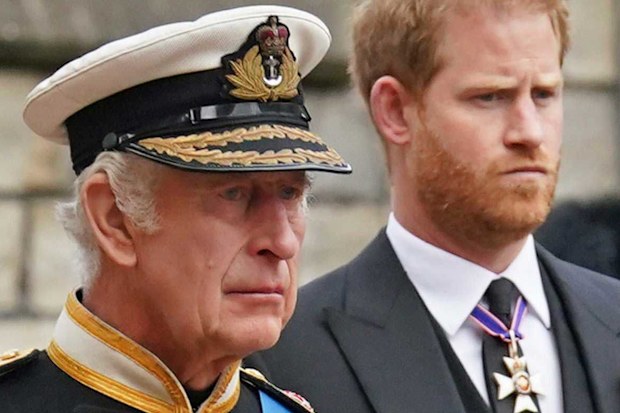 King Charles and Prince Harry.
