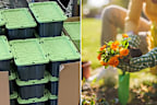 gardener stock bunnings box