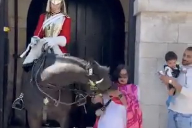 Woman gets bitten by king's guard horse