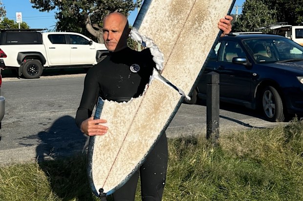 The shark took a large bite out of the surfer's board at Cabarita.