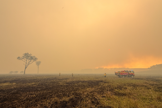 : Pacific Hwy Fire, Nerong (Mid-Coast LGA) - Saturday 31 January 2026. See less