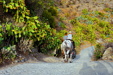 Pentedattilo (Calabria)