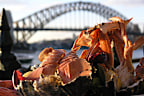 <p>The commonality between all the cities on the list is they're "undergoing a culinary renaissance" or they're "particularly buzzing right now, according to Time Out's Grace Beard.</p><p>Beard told CNN Travel that "affordability played as much a role as quality in creating this ranking" and the editors were looking for cities "where good-quality meals are accessible to travelers on every budget."</p><p>Some honourable mentions on the rest of the list include Liverpool in the UK, coming in at number 11 and known for their Scouse – a rich stew usually comprised of beef or lamb. </p><p>Our very own Sydney made the top 20 at number 17, with the city renowned for it's variety of food offerings.</p><p>Others include<strong> </strong>Medellín, Colombia at 12, Seville, Spain at 13, Porto, Portugal﻿ at 14, Marrakech, Morocco at 15, Lyon, France at 16, Montreal, Canada, at 18<strong> </strong>Osaka, Japan at 19, and finally Copenhagen, Denmark at 20.</p>