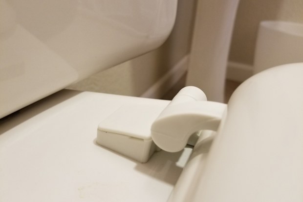 How to deep clean the toilet: Five parts of the toilet you never knew ...