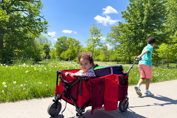 On a beautiful sunny day, a 2-year-old girl sits comfortably in a picnic cart while her 9-year-old brother pulls it towards a lush, green park. The siblings are excited for their upcoming picnic, with the peaceful outdoor setting creating a perfect backdrop for their playful, joyful moment. This image captures the essence of childhood adventure, family bonding, and the simple pleasures of spending a day outdoors together.
