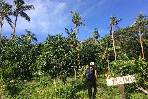 Young woman travels and hikes in tropical terrain. Female sport and travel concept. Real people copy space