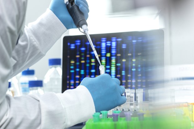STOCK DNA testing 