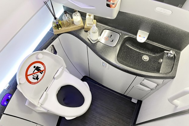 Detail from Business Class airplane toilet