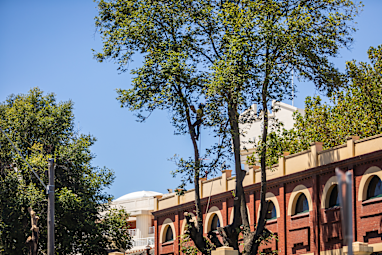 11. Caulfield North, Victoria