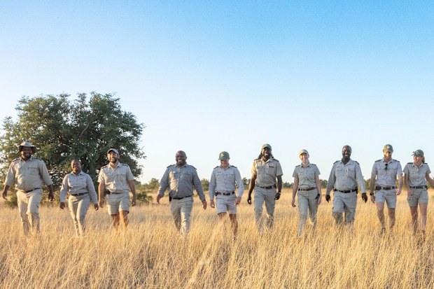 sabi sabi collection