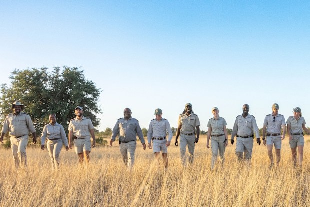 sabi sabi collection