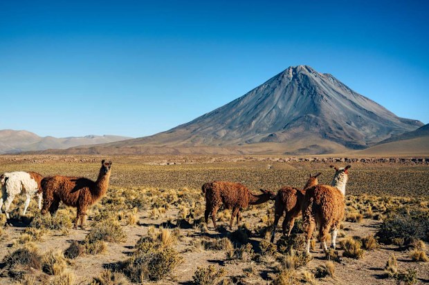  Atacama Desert
