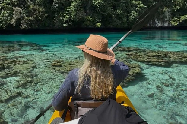 palau sami lukis