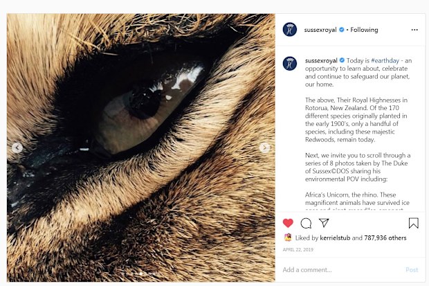 Prince Harry loses complaint against 'inaccurate' article over elephant photo