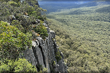 4. Mount Rosea Track, VIC