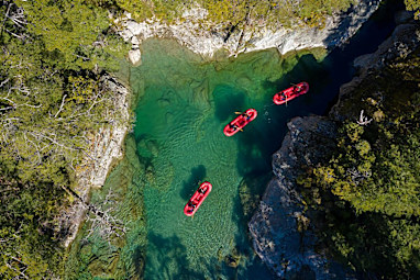 Dart River, South Island